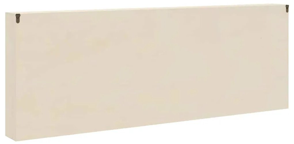 Fa gyűjtő kiállítótok Barna 100 x 8,5 x 36 cm Furnér