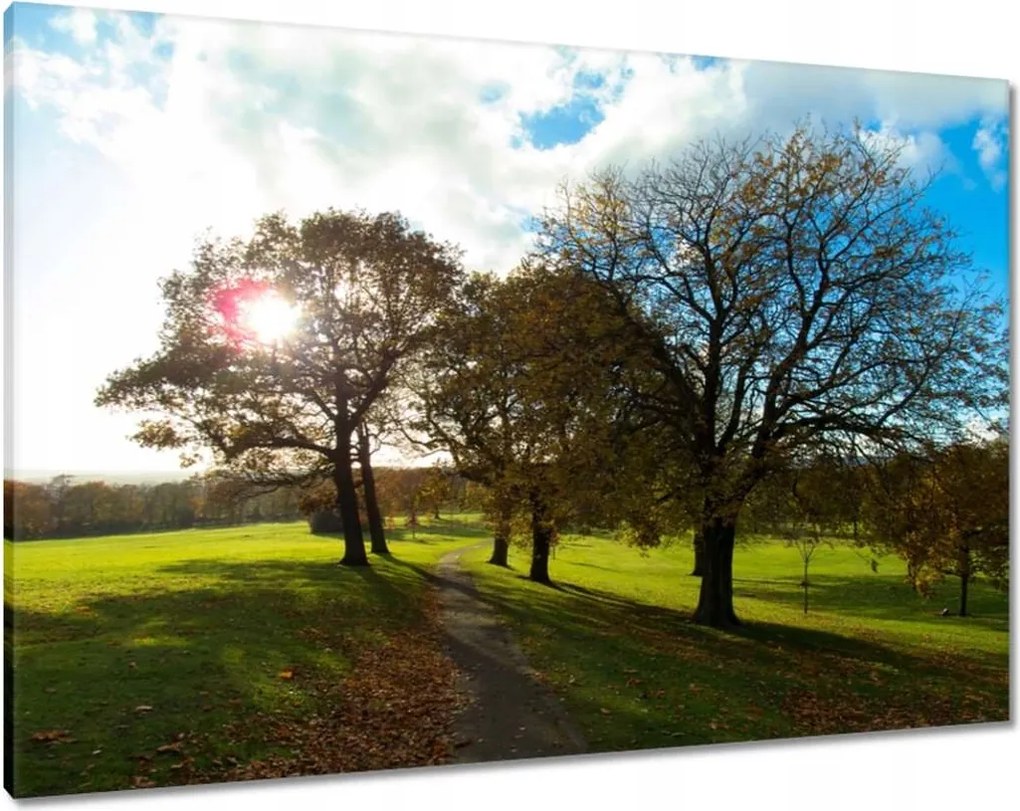 Festmények 100x70 Őszi tájkép