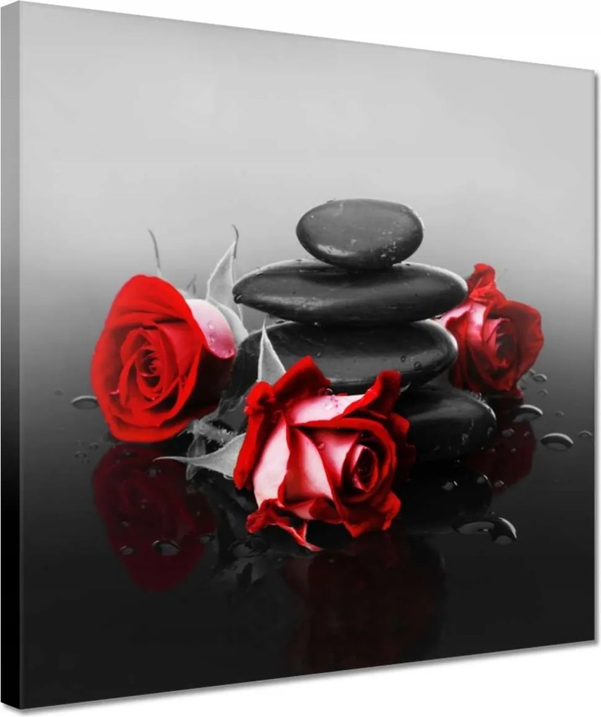 Vászonkép 30x30 Vörös rózsák Spa