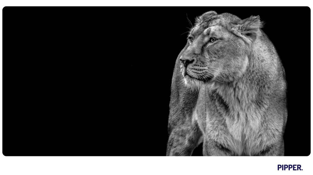 PIPPER. Öntapadós textiltapéta "Oroszlánnő"