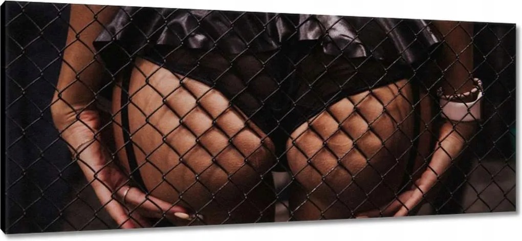 Vászonkép 100x40 Formás popsi a rács mögött