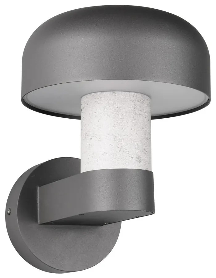 Fali kültéri lámpa (magasság 24,5 cm) Fraser – Trio