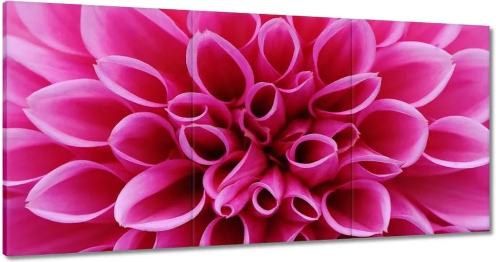 Festmények 120x60 Liliom