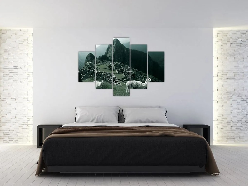 Kép - Lámák a perui Machu Picchunál (150x105 cm)