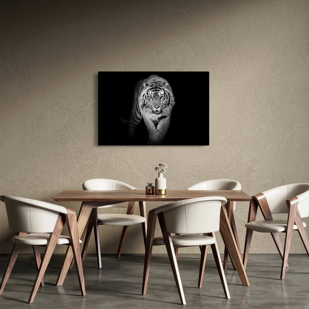 Kép - Tigris kék szemekkel (90x60 cm)