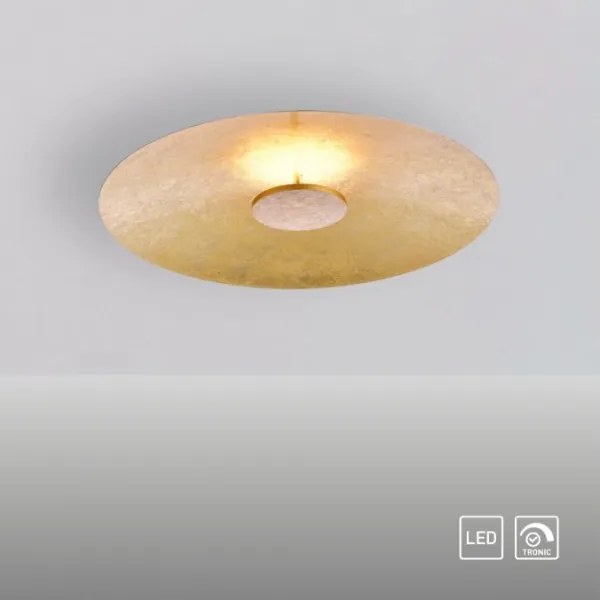 Paul Neuhaus 8132-12 - LED Dimmelhető mennyezeti lámpa PLATE LED/25W/230V