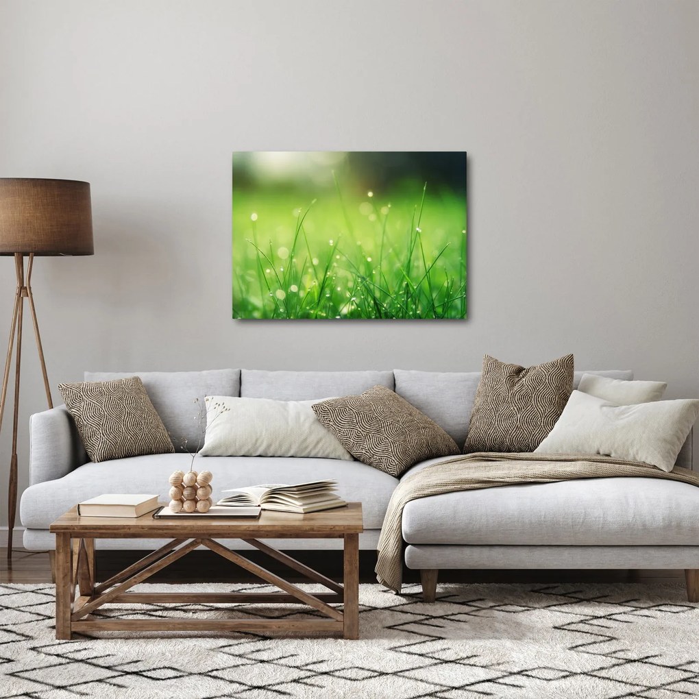 Kép - harmatos fű (70x50 cm)