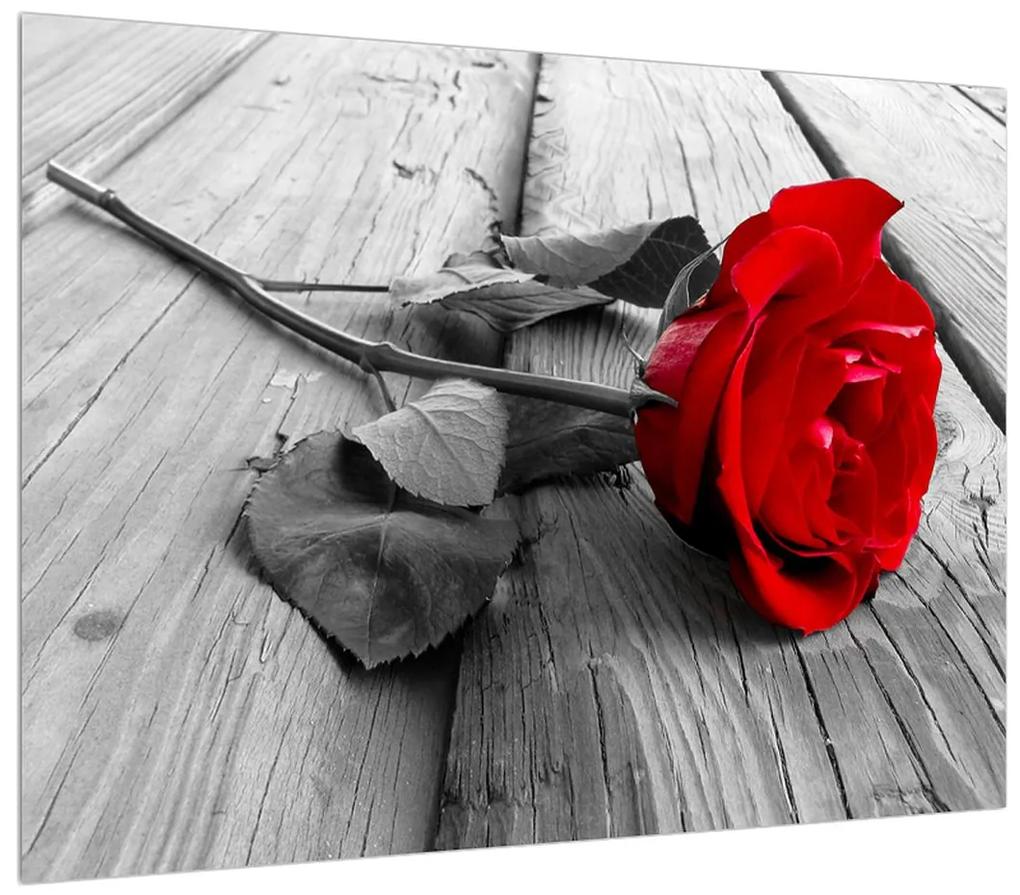 Vörös rózsa képe (70x50 cm)