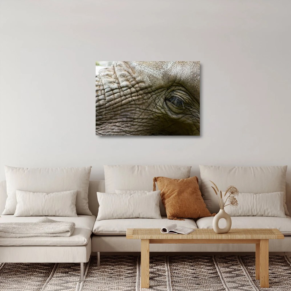Üveg kép - Közelkép az öreg elefánt szeméről (70x50 cm)