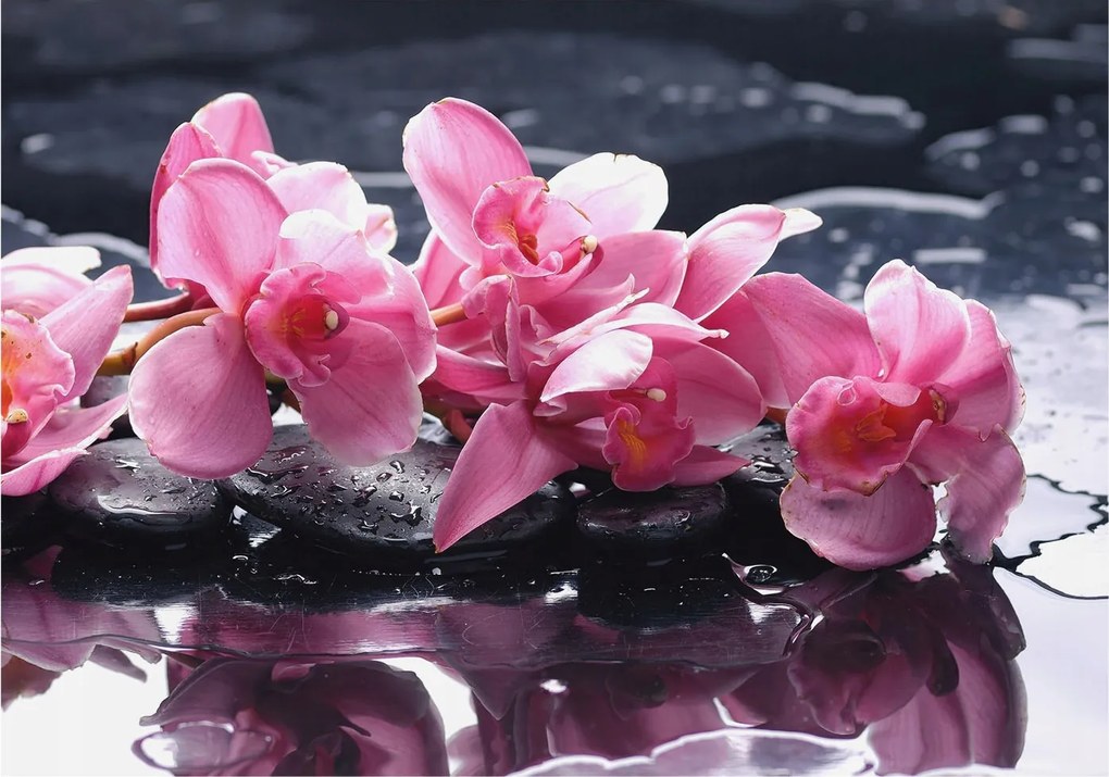 Modern fotótapéta Flizelina falra Virágos elegancia 208x146 Ragasztó