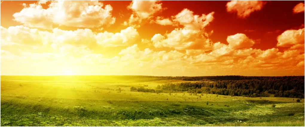 Rét képe ragyogó napfénnyel (120x50 cm)