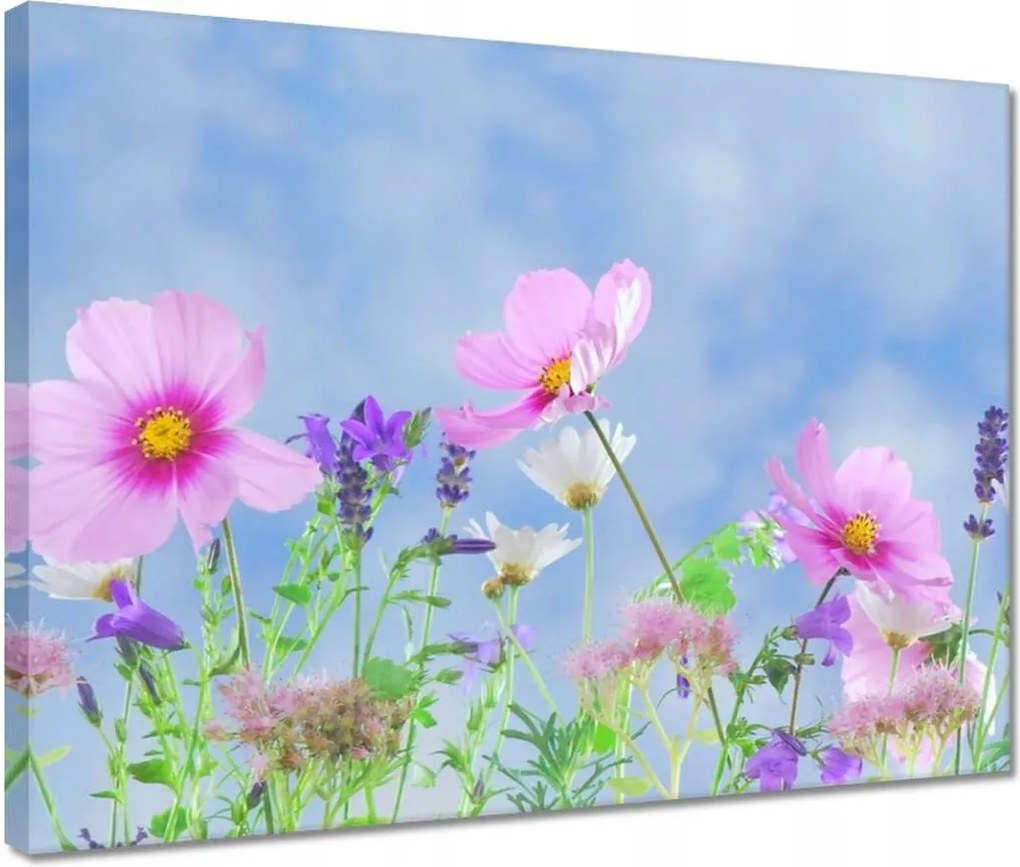 Vászonkép 40x30 Finom virágok