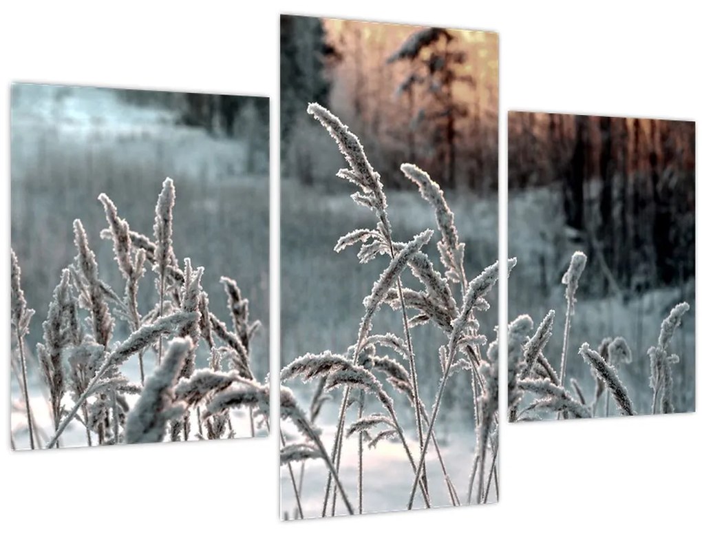 Kép - Fagyott rét (90x60 cm)