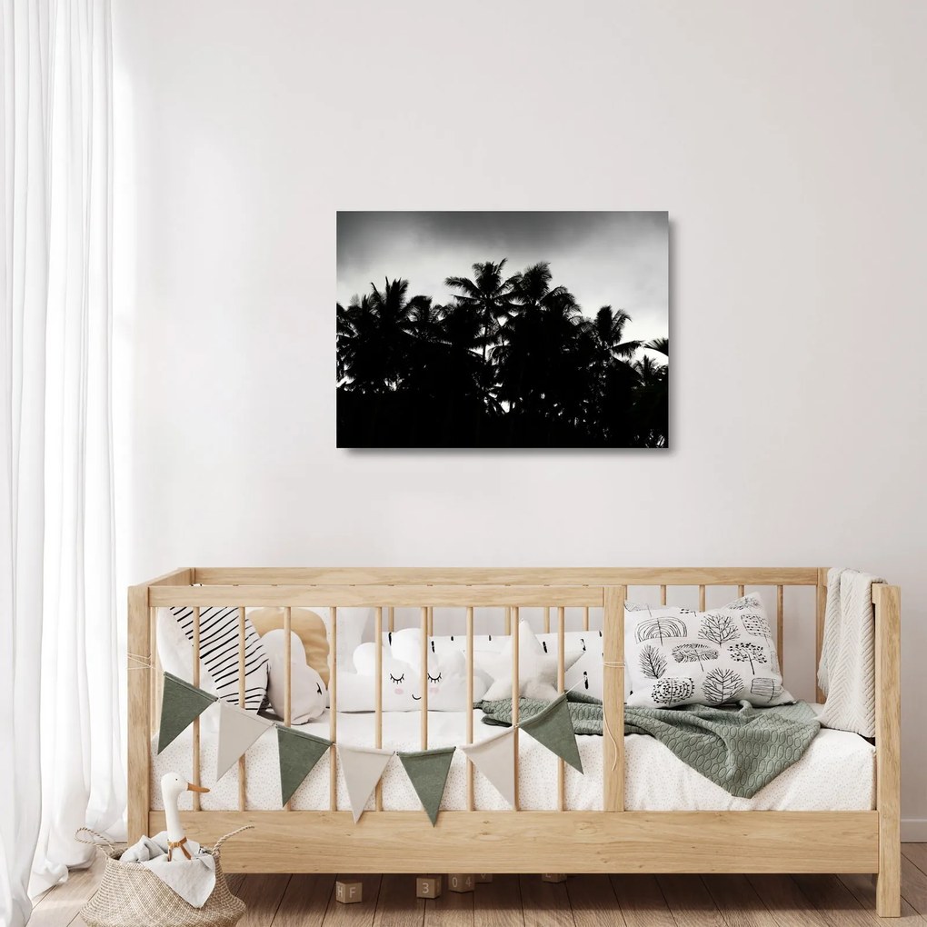 A fekete-fehér pálmafák képe (üvegen) (70x50 cm)