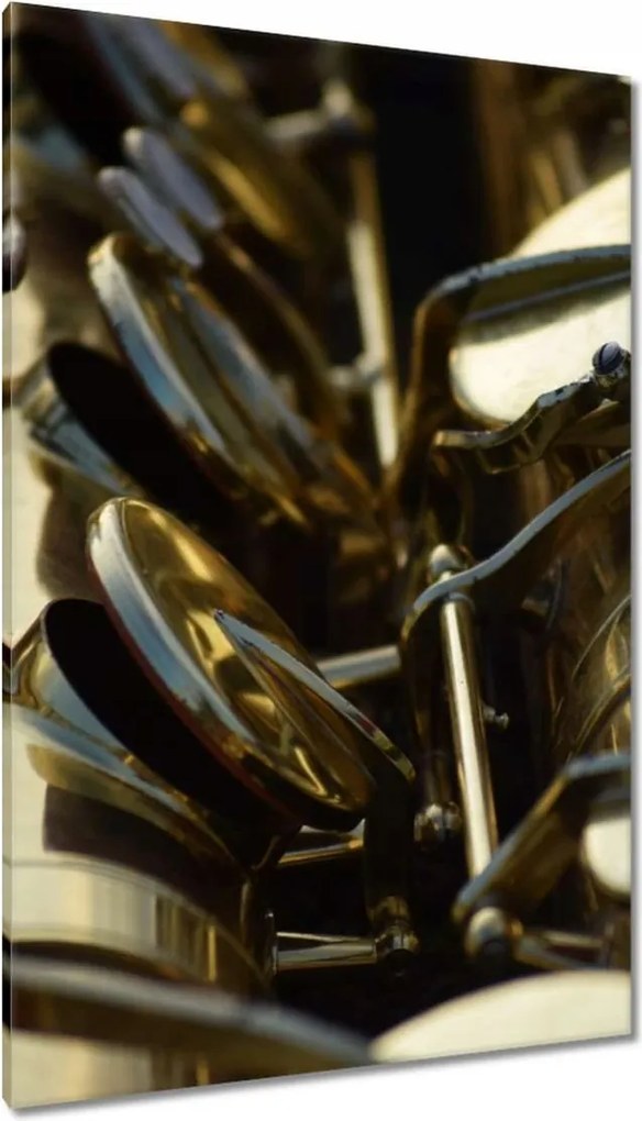 Vászonkép 80x120 Trombita