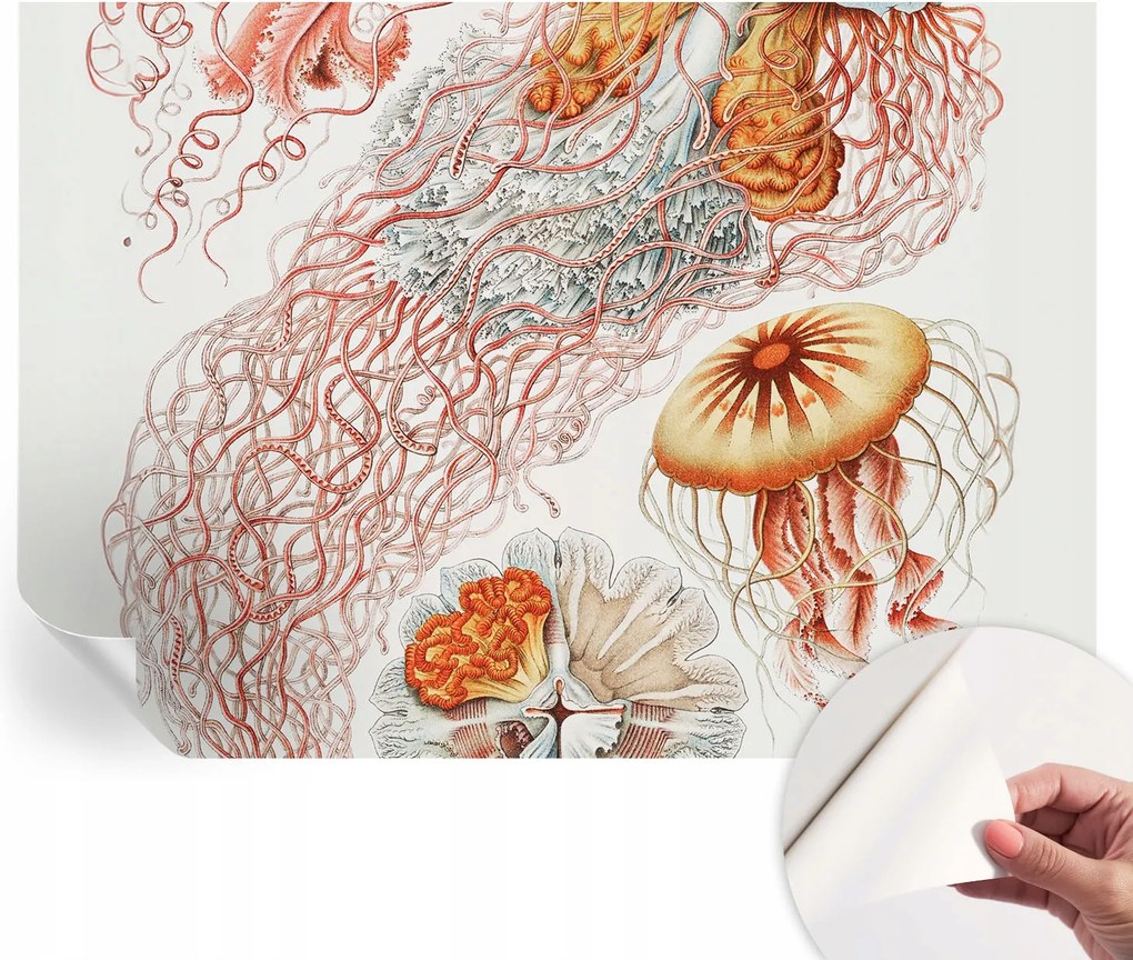 Modern öntapadós fali fotótapéta Fantázia medúzák 312x219 cm