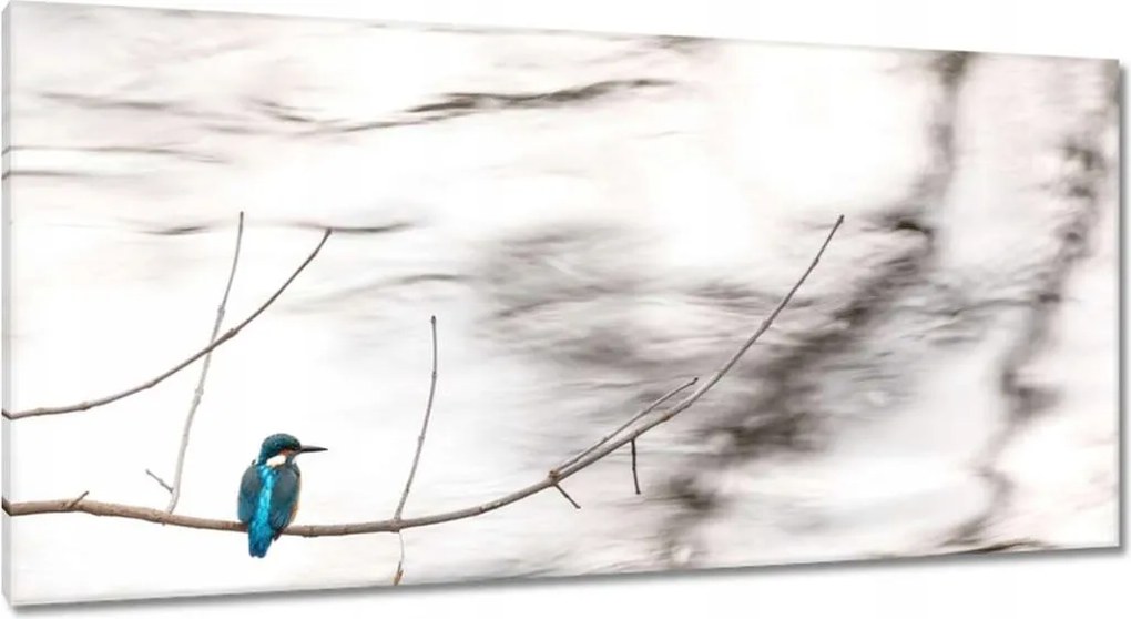 Vászonkép 115x55 Madarak