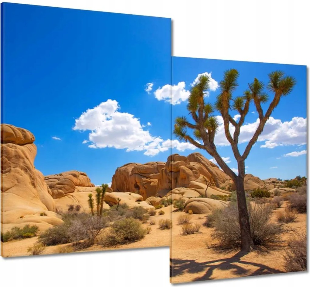 Vászonkép 80x70 Sivatagi táj