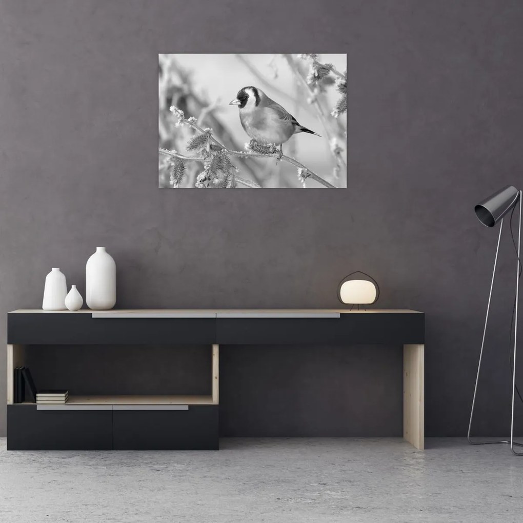 Kép - Egy madár télen (70x50 cm)
