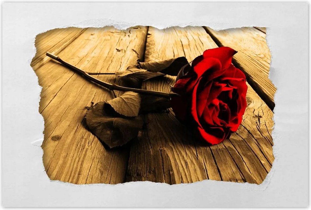 Poszterek 90x60 Rózsa szépia deszkákon