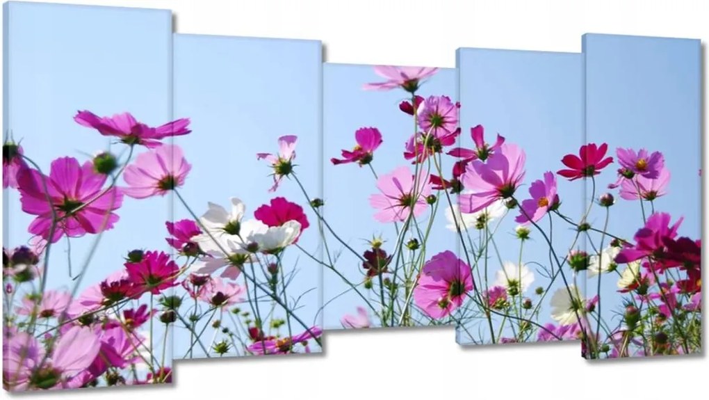 Vászonkép 150x80 Rét virágokkal