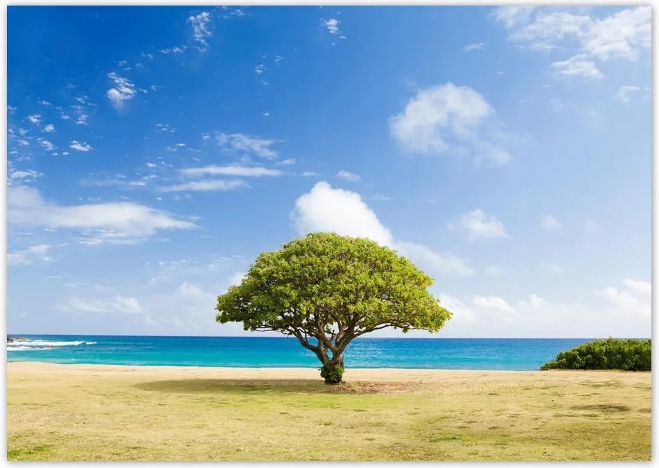 Poszterek A0 Szint Tájkép fával