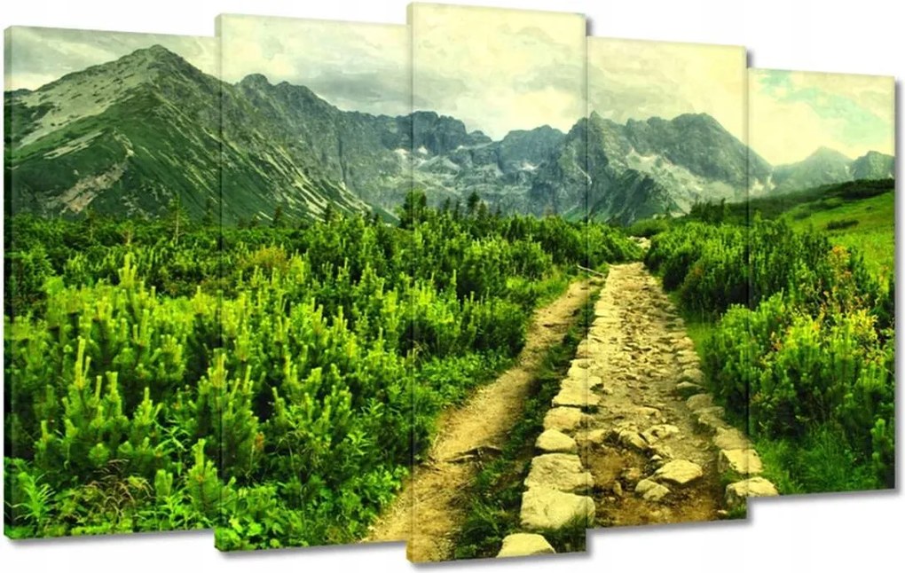 Vászonkép 100x60 Napsütéses nap a Tátrában