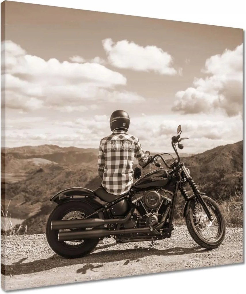 Vászonkép 50x50 Harley Davidson Motorkerékpár