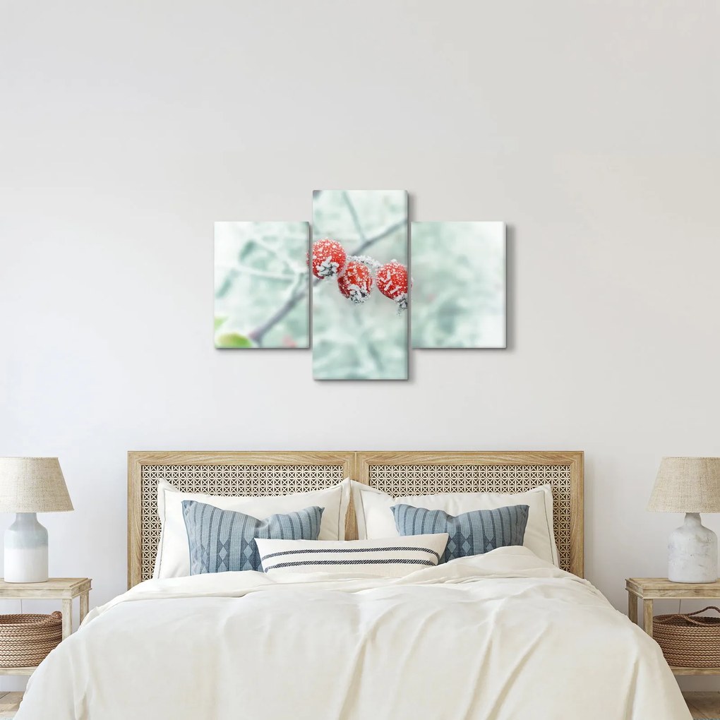 Fagyasztott csipkebogyó képe (90x60 cm)