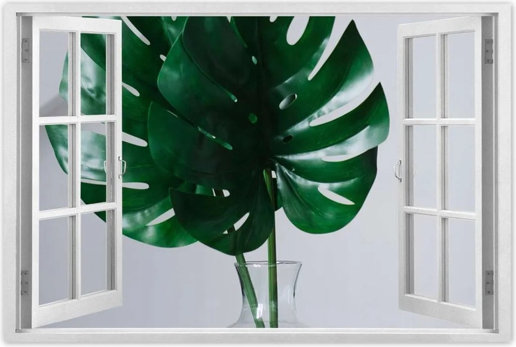 Poszterek 90x60 Mosnter levelek lyukas