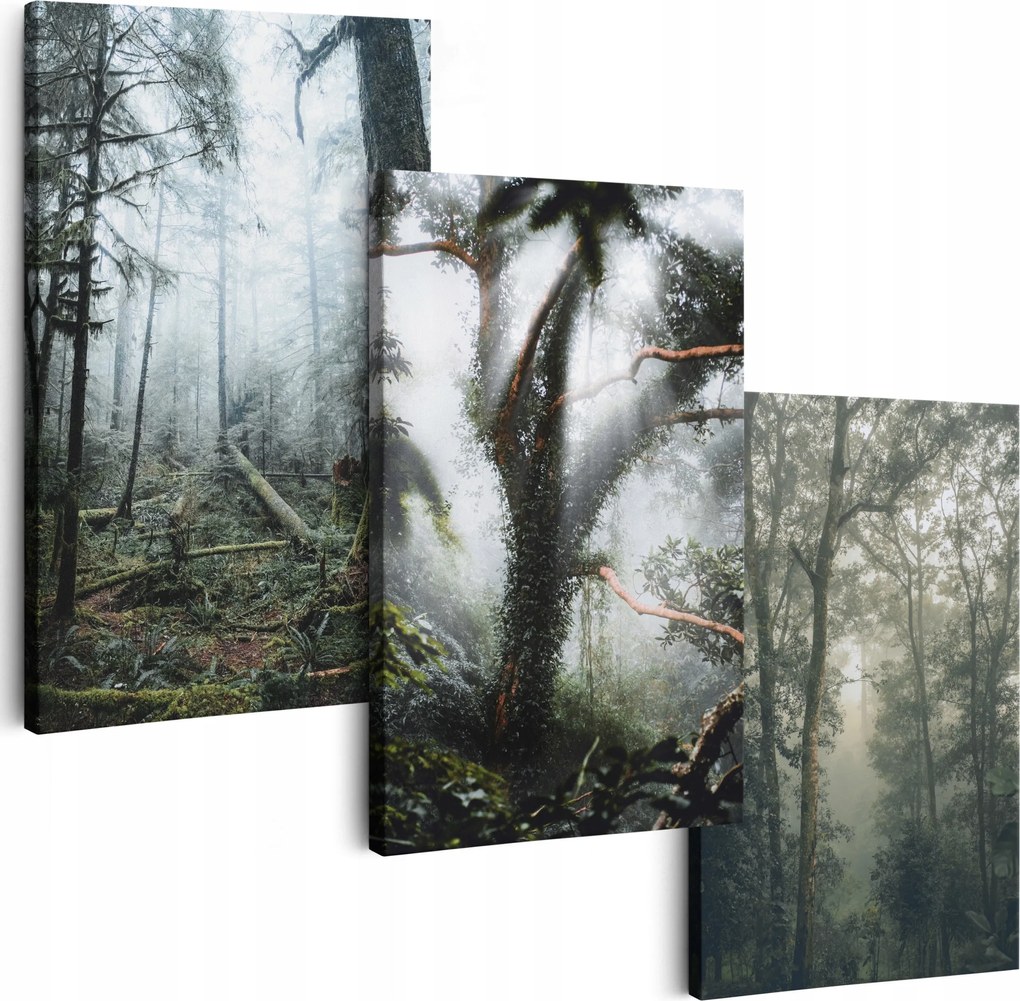 Vászonkép 180 cm **sok minta** Nappali Képek Triptichon Köd Erdő