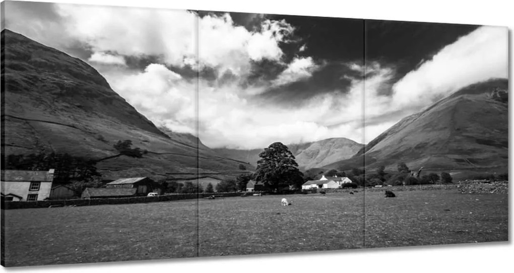 Vászonkép 120x60 Bárányok a réten