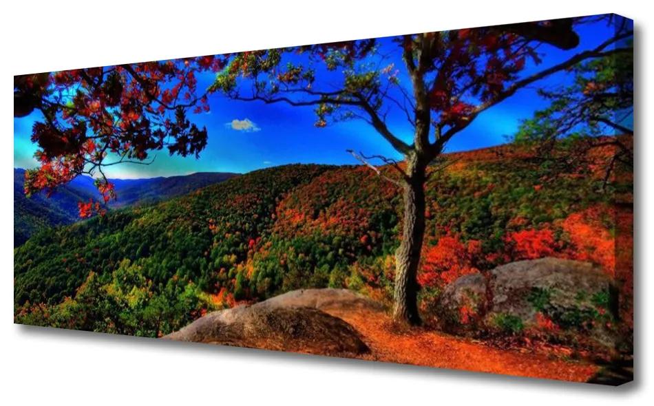 Vászonkép nyomtatás Mount Forest Nature 100x50 cm