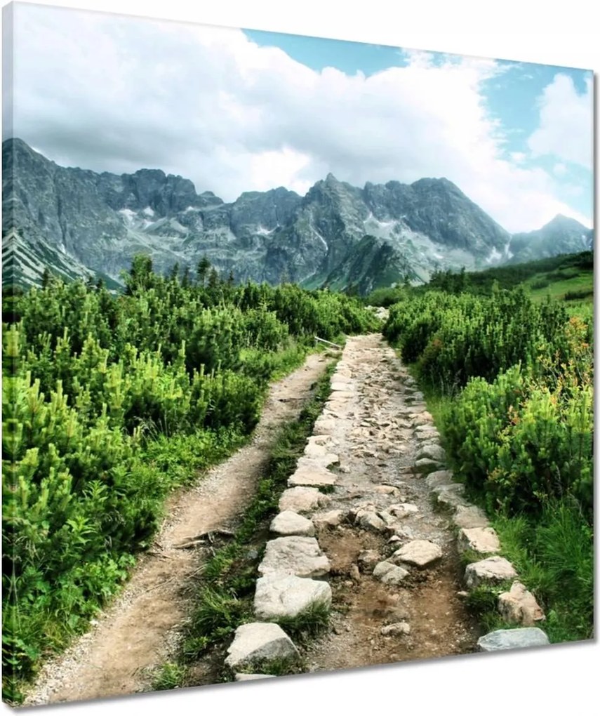 Vászonkép 50x50 Kő út Tátra