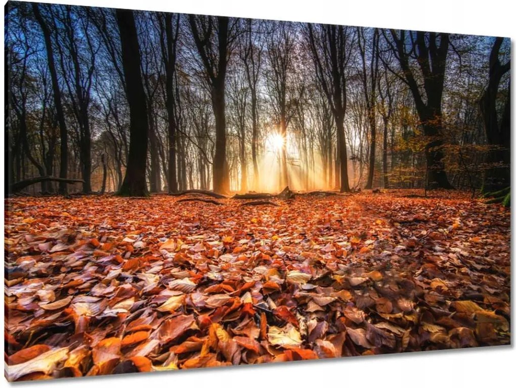 Festmények 120x80 Őszi kilátás Tájkép