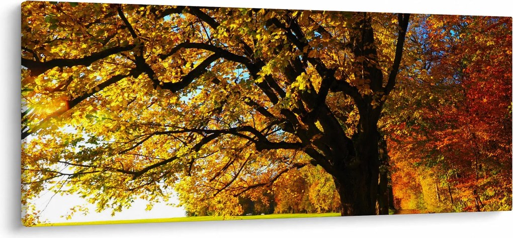 Az őszi kép (120x50 cm)
