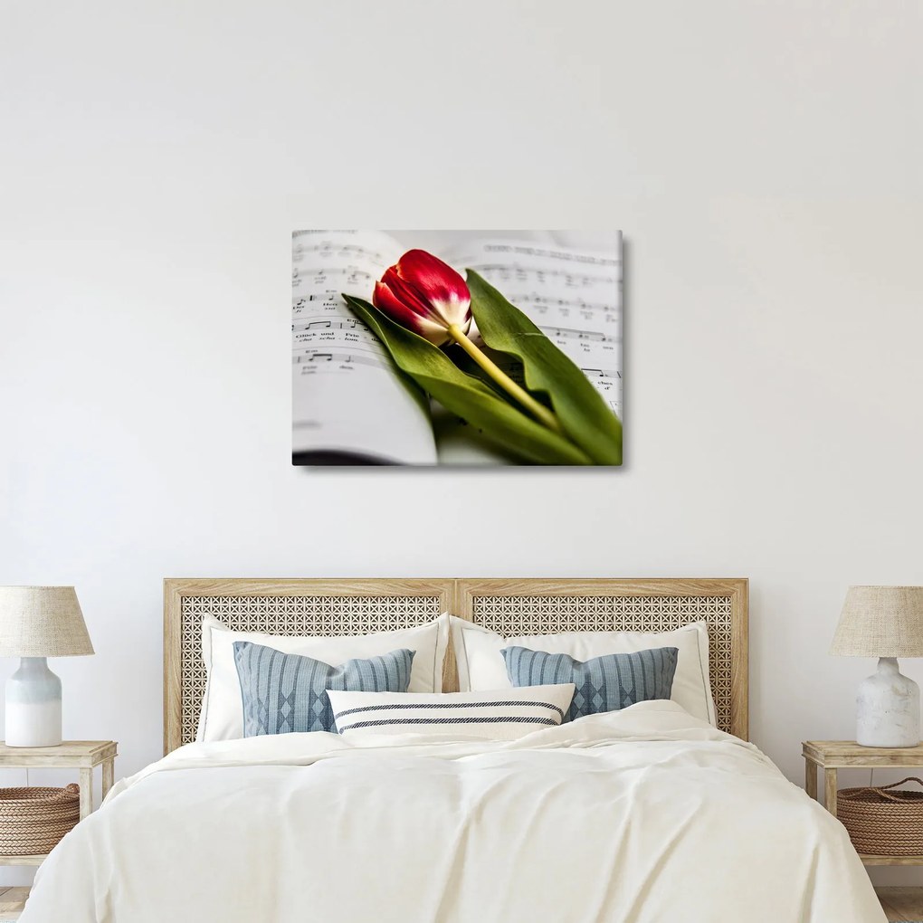 Egy vörös tulipán képe (70x50 cm)