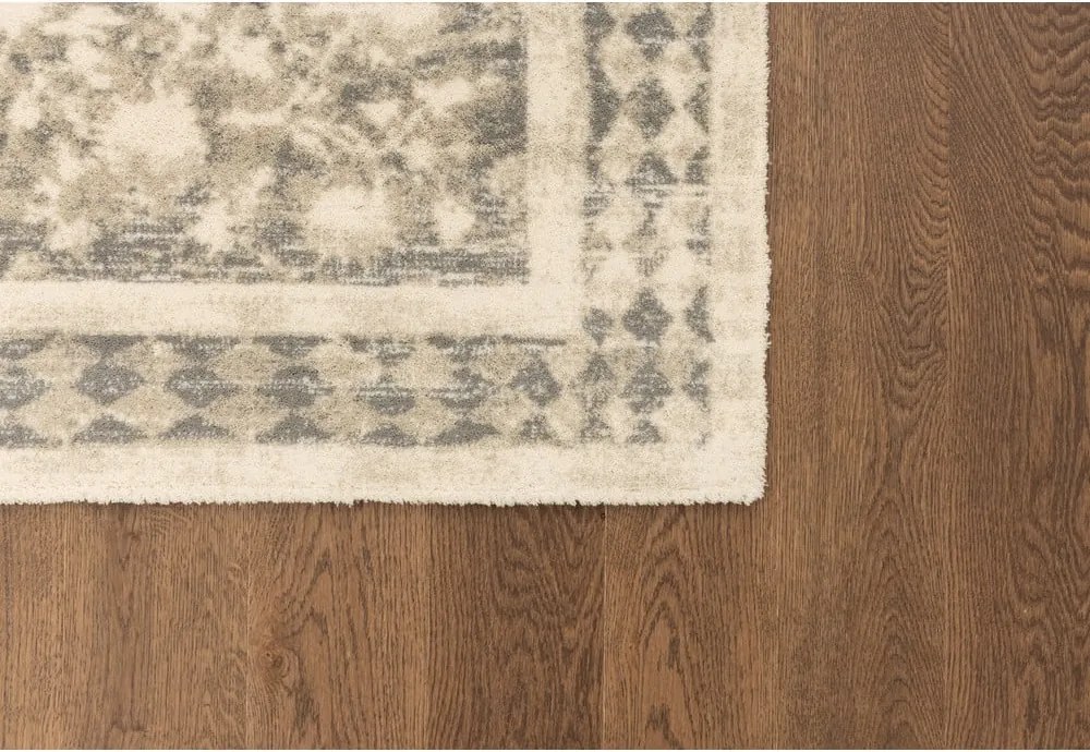 Bézs gyapjú szőnyeg 230x340 cm Agnus Granny – Agnella