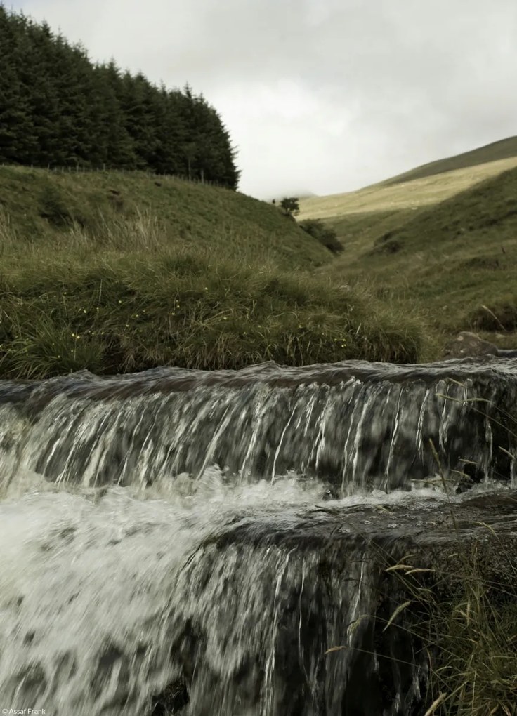 Poszter 20,5x28,4cm Közelkép a patakhoz, Assaf Frank
