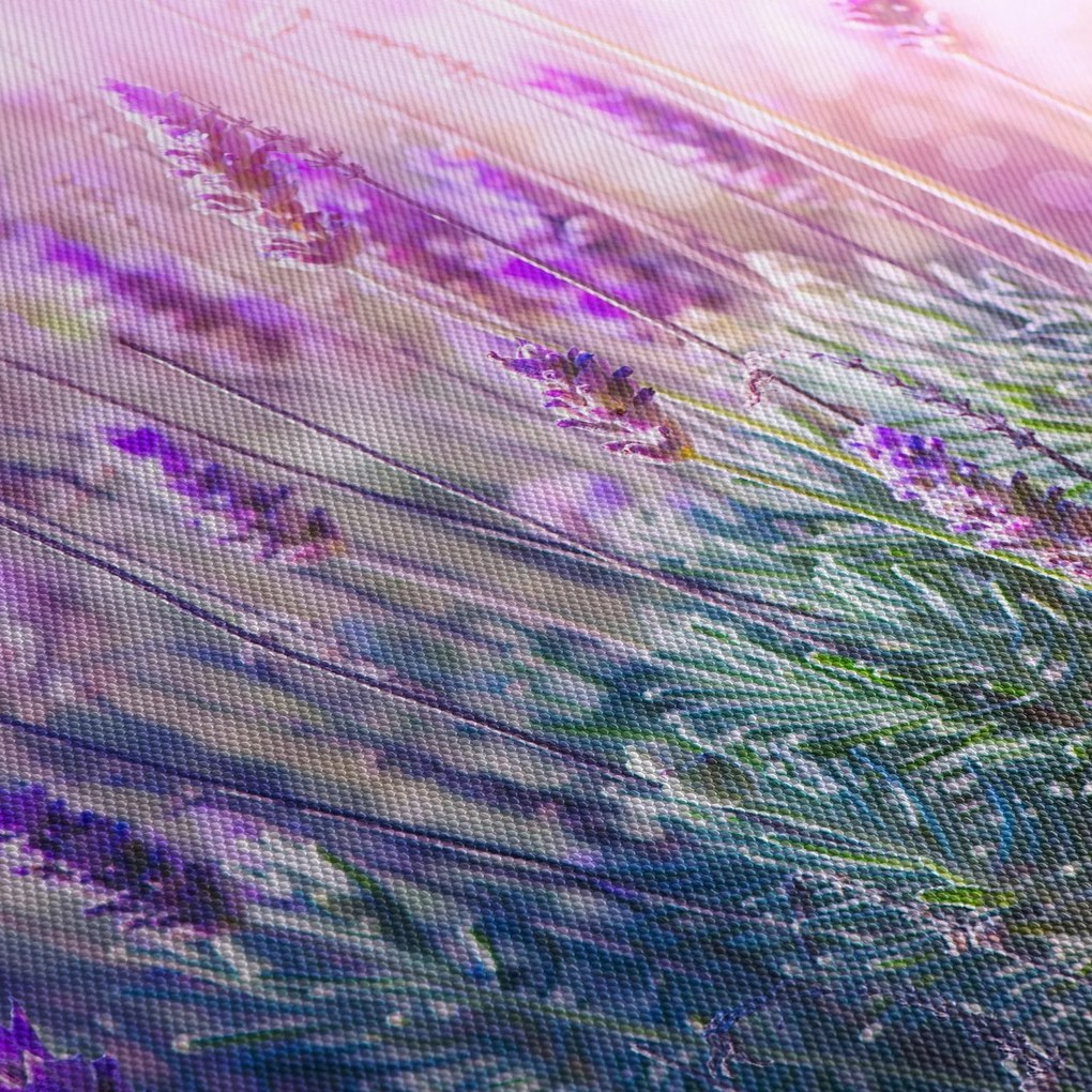 Kép - Levendula a csillogó napban (90x60 cm)