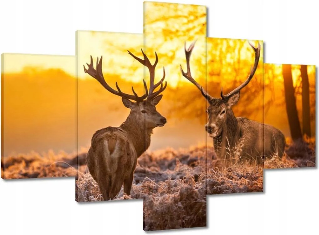 Vászonkép 100x70 Szarvasok a hajnalban