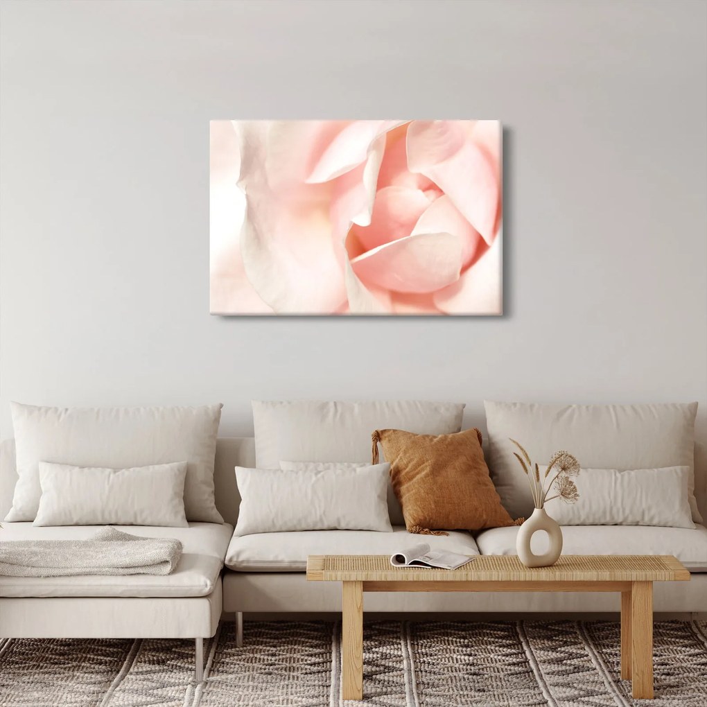 Kép - Rózsák (90x60 cm)