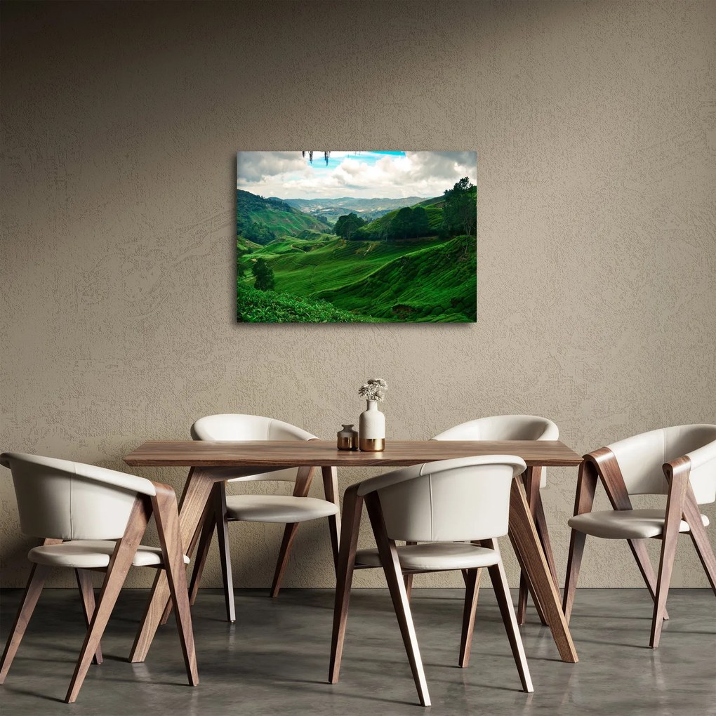 Kép - Teaültetvények Malajziában (70x50 cm)