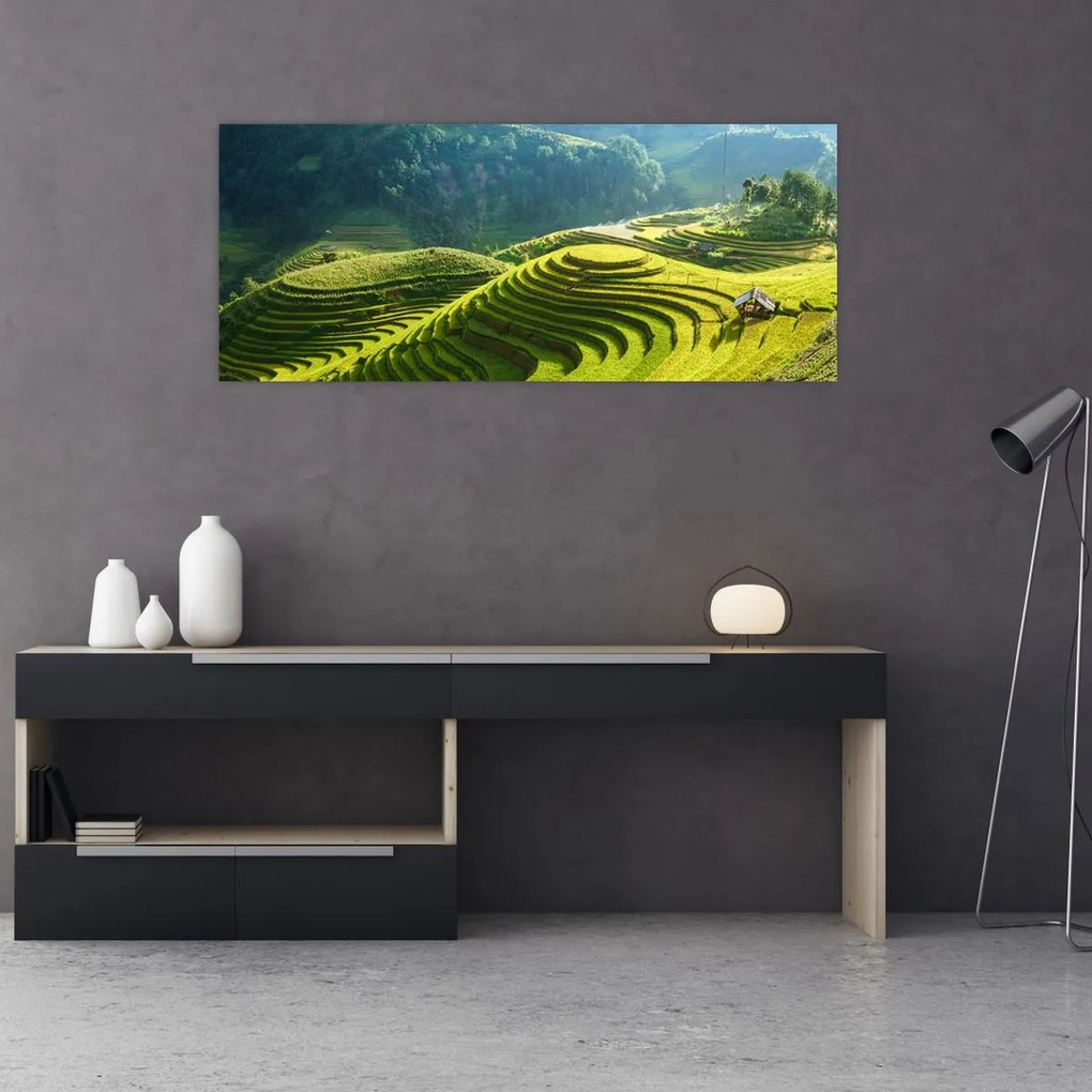 Kép - Rice Terraces koncert (120x50 cm)