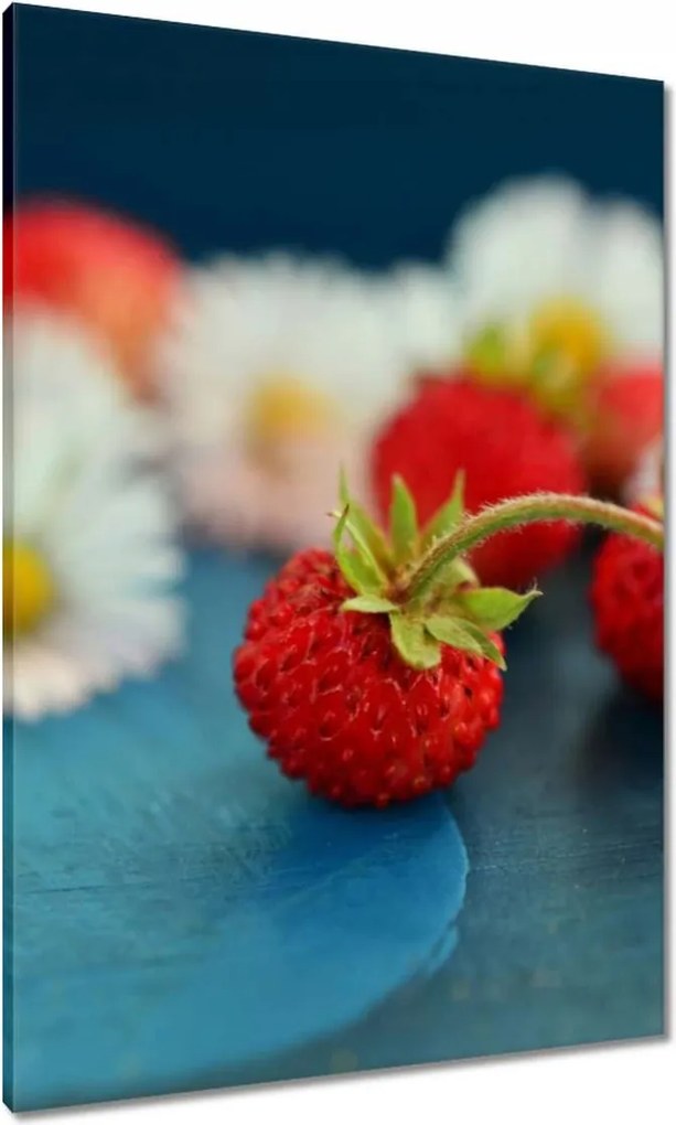 Vászonkép 70x100 Vízszintesek és margaréták