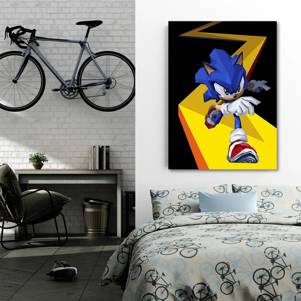 Gario Vászonkép Sonic - Nikita Abakumov Méret: 80 x 120 cm