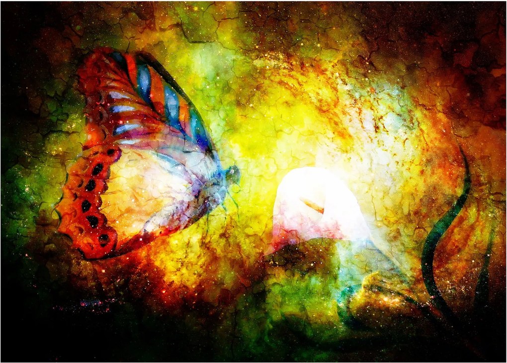 Kép - Kozmikus pillangó (üvegen) (70x50 cm)