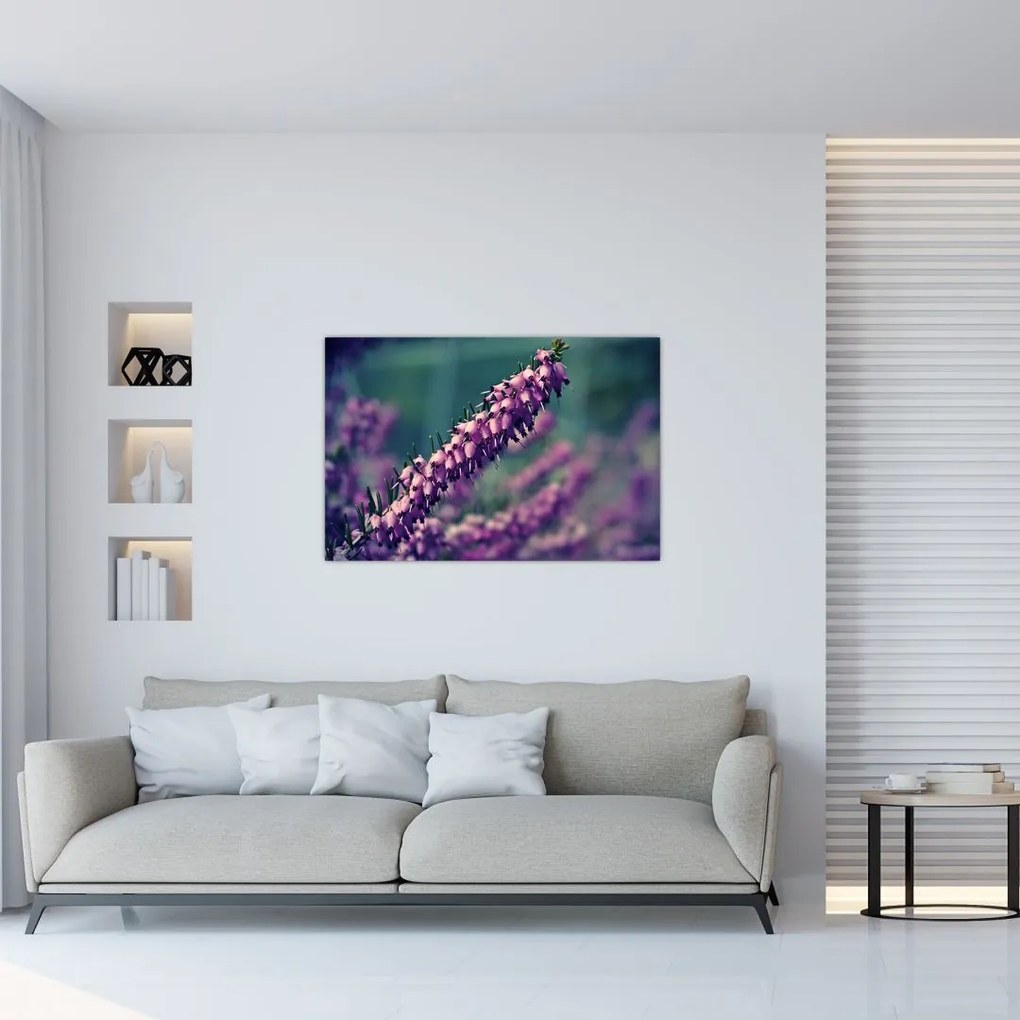 Levandula képe (90x60 cm)