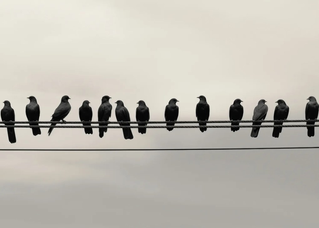 Poszter 70x50cm Konferencia a Magasságban