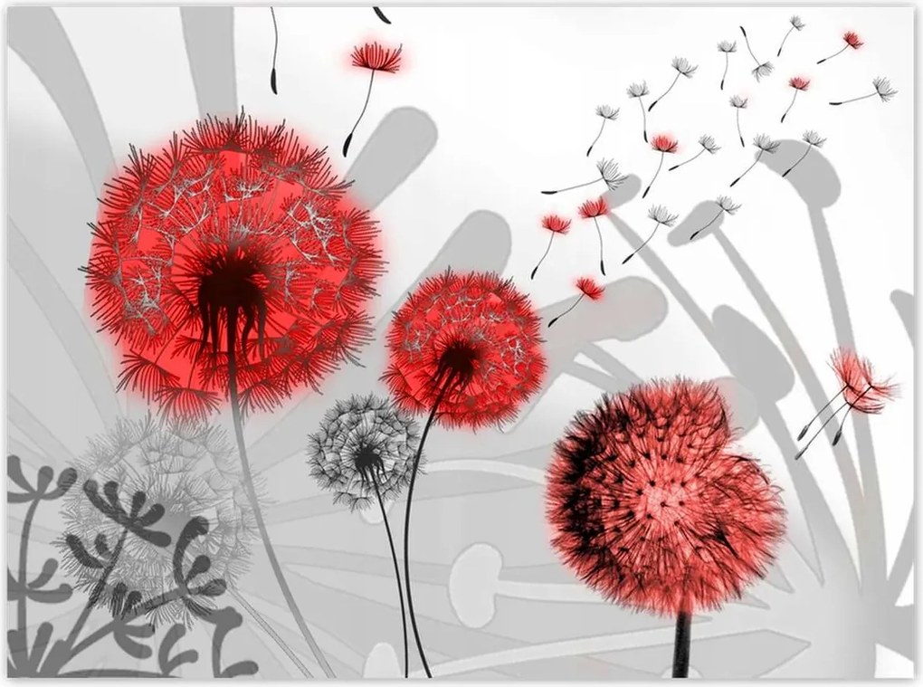 Poszterek 135x100 Piros pitypangok